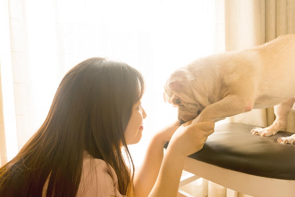 A young woman touching paws with her pet dog