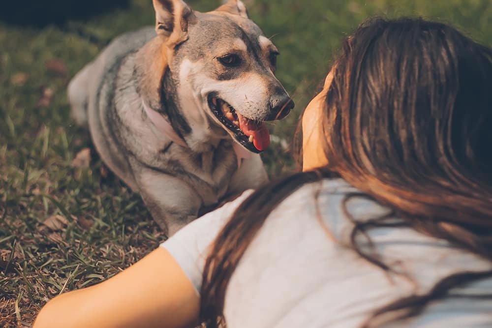 A young woman laying in the grass with her pet dog