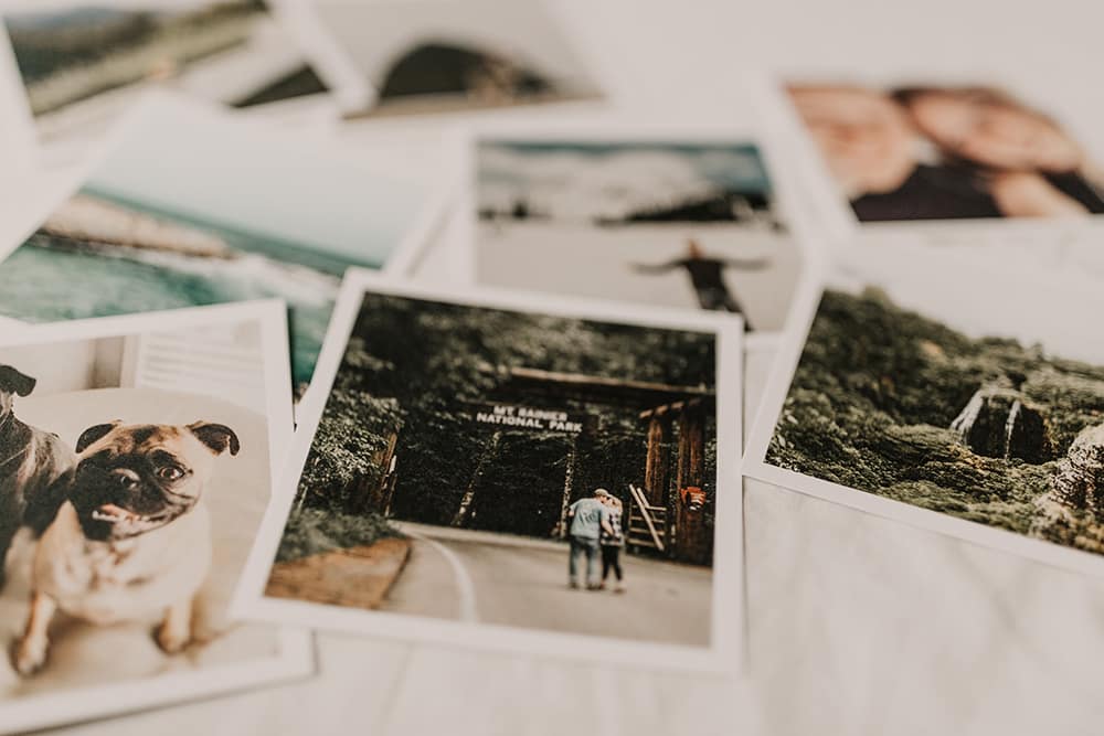 Photographs of happy family and pet memories