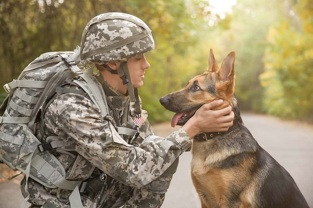 A USA soldier crouched and petting his service dog