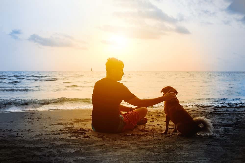 A man sitting on the beach with his pet dog at sunset