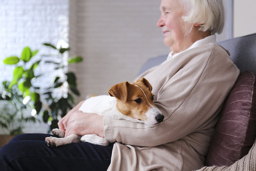 an elderly woman sits comfortably with her beloved pet dog on her lap