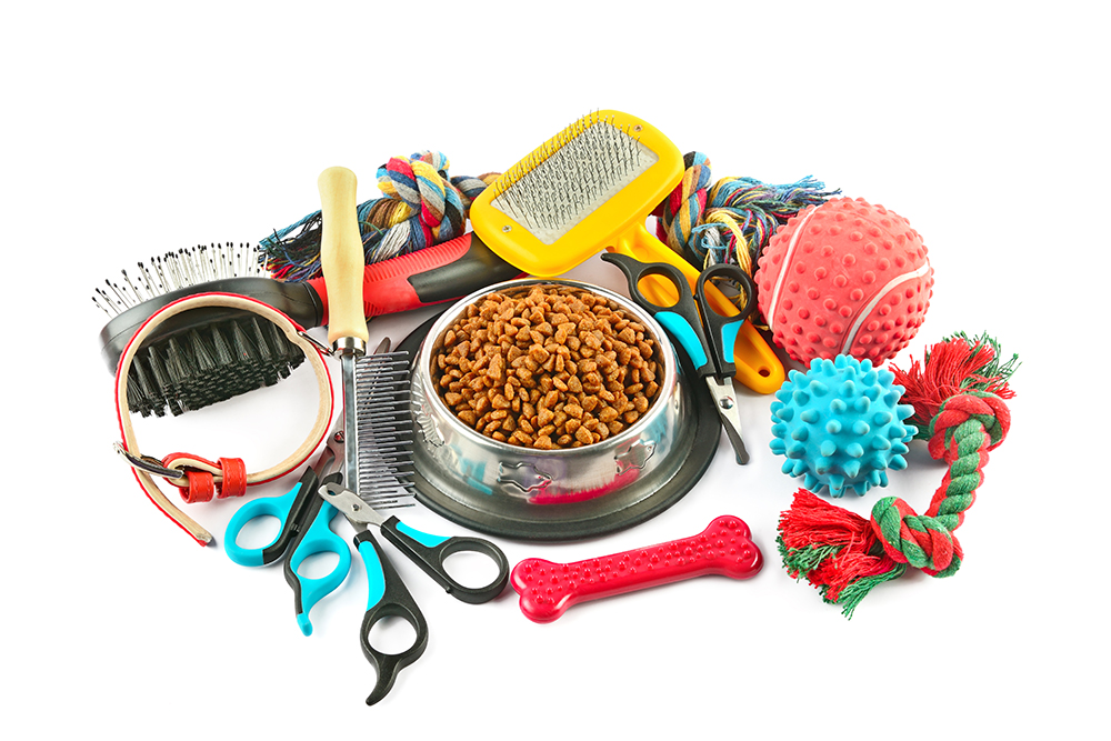 Pet accessories concept. Dry food, collars and rubber toys for pet on isolated white background.