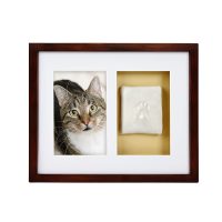 Paw Print Frame Brown Wall - Cat