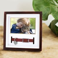 Pet Collar Frame Cat