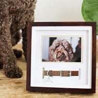 Pet Collar Frame Dog